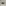 challenge banner image