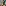 challenge banner image