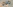 challenge banner image