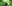 challenge banner image