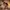 challenge banner image