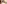 challenge banner image