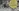 challenge banner image