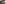 challenge banner image