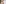 challenge banner image