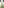 challenge banner image