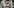 challenge banner image