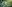 challenge banner image