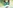 challenge banner image