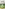 challenge banner image
