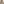 challenge banner image