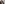 challenge banner image