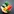 challenge banner image