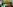 challenge banner image