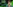 challenge banner image