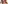 challenge banner image