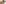 challenge banner image