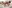 challenge banner image