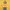 challenge banner image