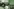 challenge banner image