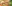 challenge banner image