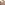challenge banner image