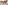 challenge banner image