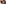 challenge banner image