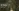 challenge banner image