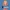 challenge banner image