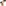 challenge banner image