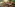 challenge banner image