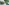 challenge banner image