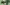 challenge banner image