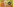 challenge banner image