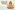 Glass Image Background