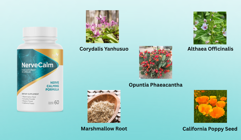 challenge banner image