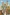 Glass Image Background