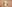 challenge banner image