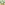 challenge banner image