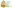 challenge banner image