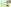 challenge banner image