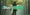 challenge banner image
