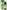 challenge banner image