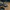 challenge banner image