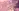 Glass Image Background