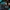 challenge banner image