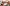 challenge banner image