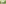 challenge banner image