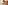 challenge banner image